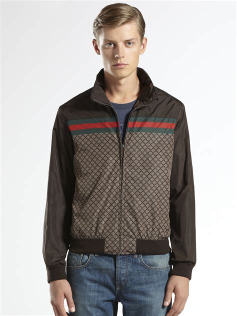 gucci windbreaker brown